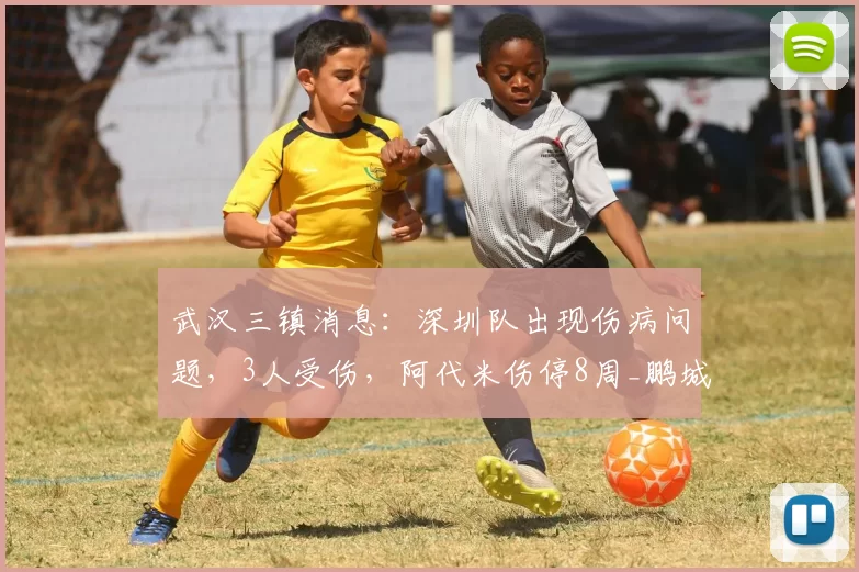 武汉三镇消息：深圳队出现伤病问题，3人受伤，阿代米伤停8周_鹏城_定洋_陈涛