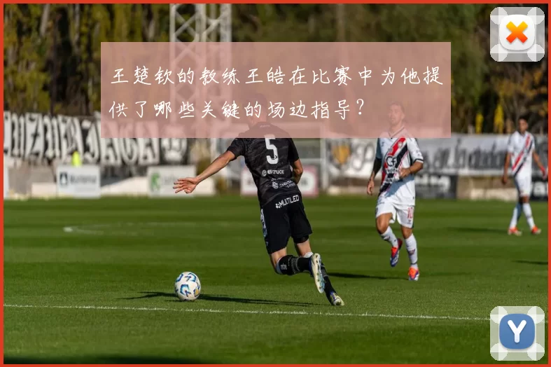 王楚钦的教练王皓在比赛中为他提供了哪些关键的场边指导?