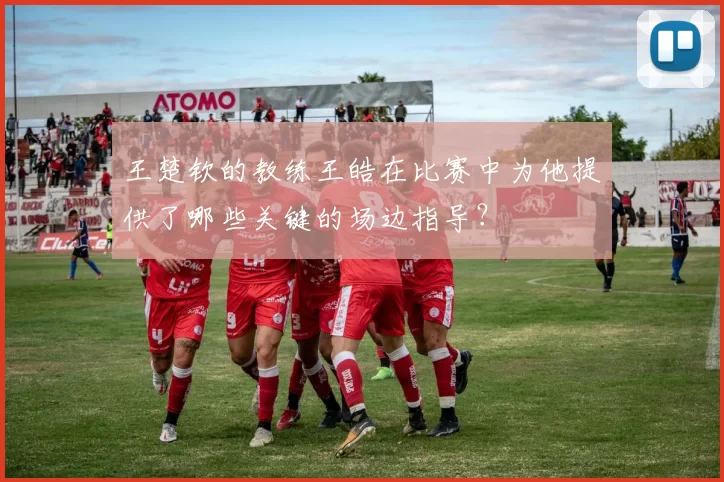 王楚钦的教练王皓在比赛中为他提供了哪些关键的场边指导？